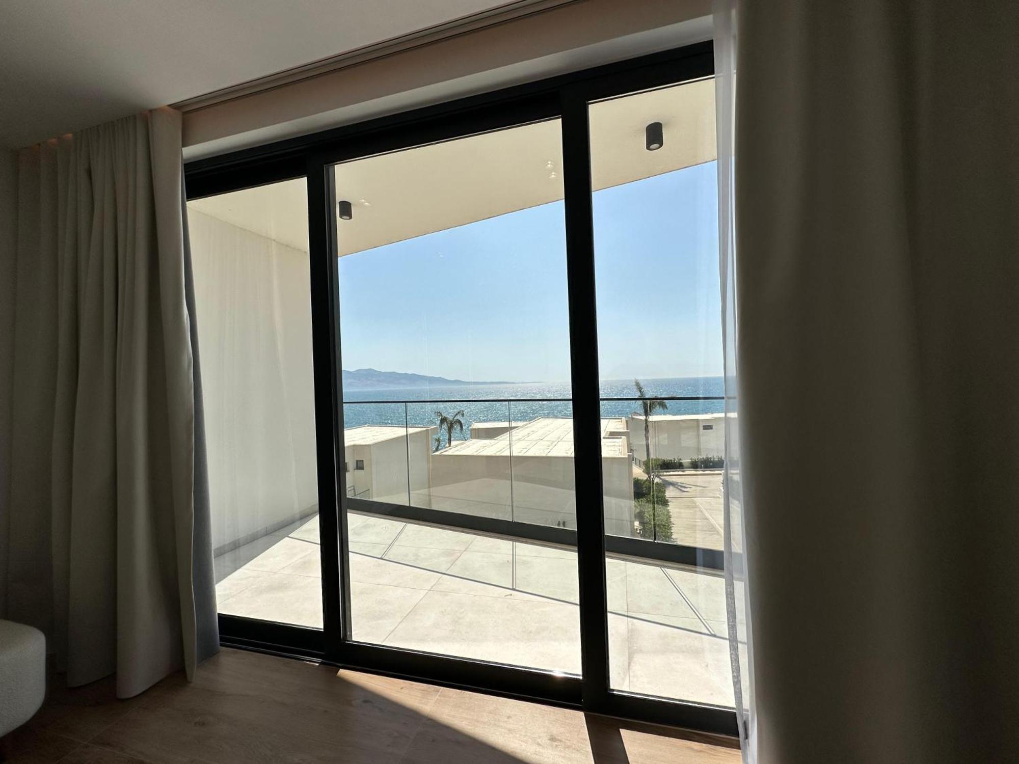 Palmera - Palmera Sarande