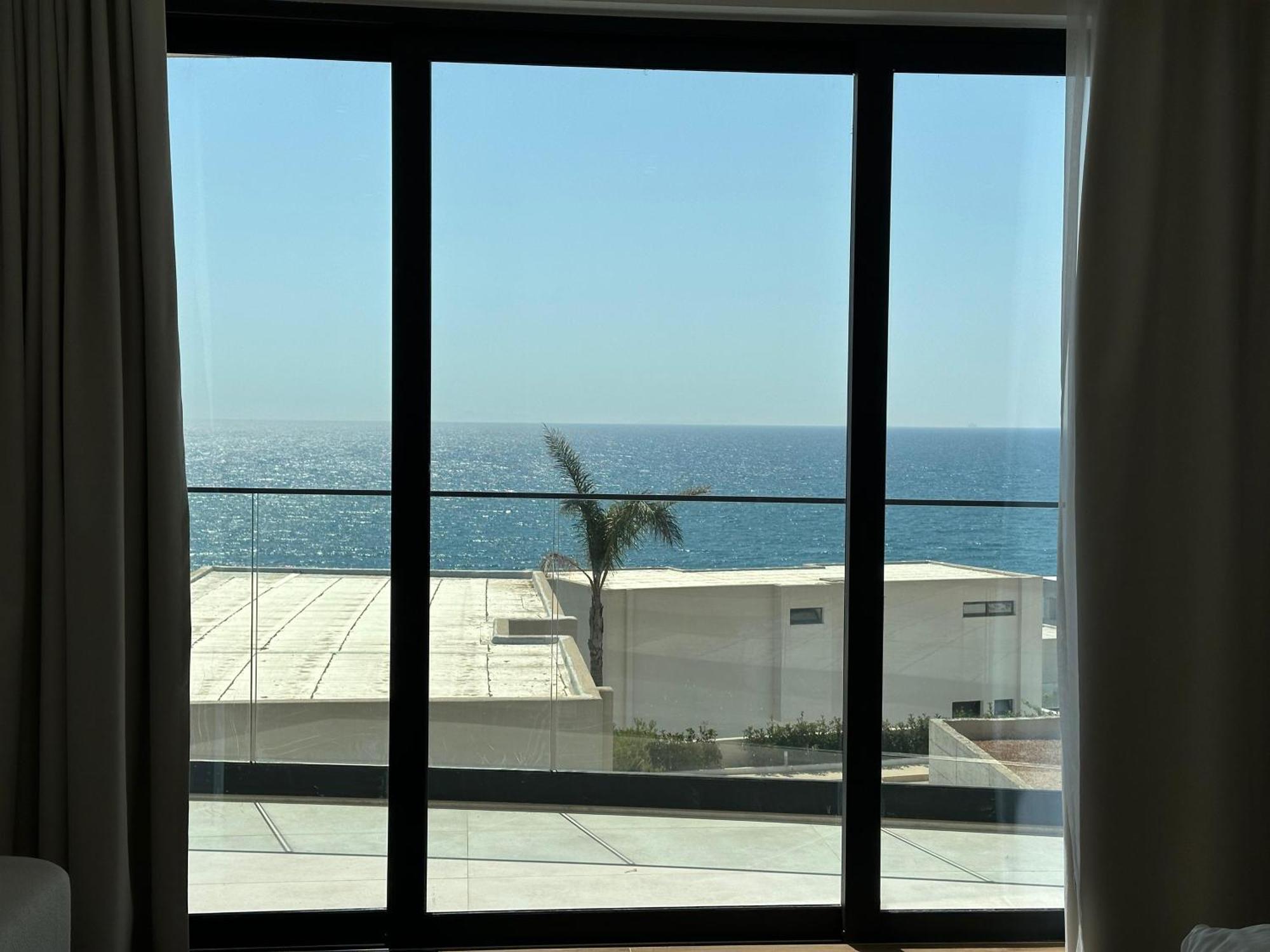 Palmera - Palmera Sarande